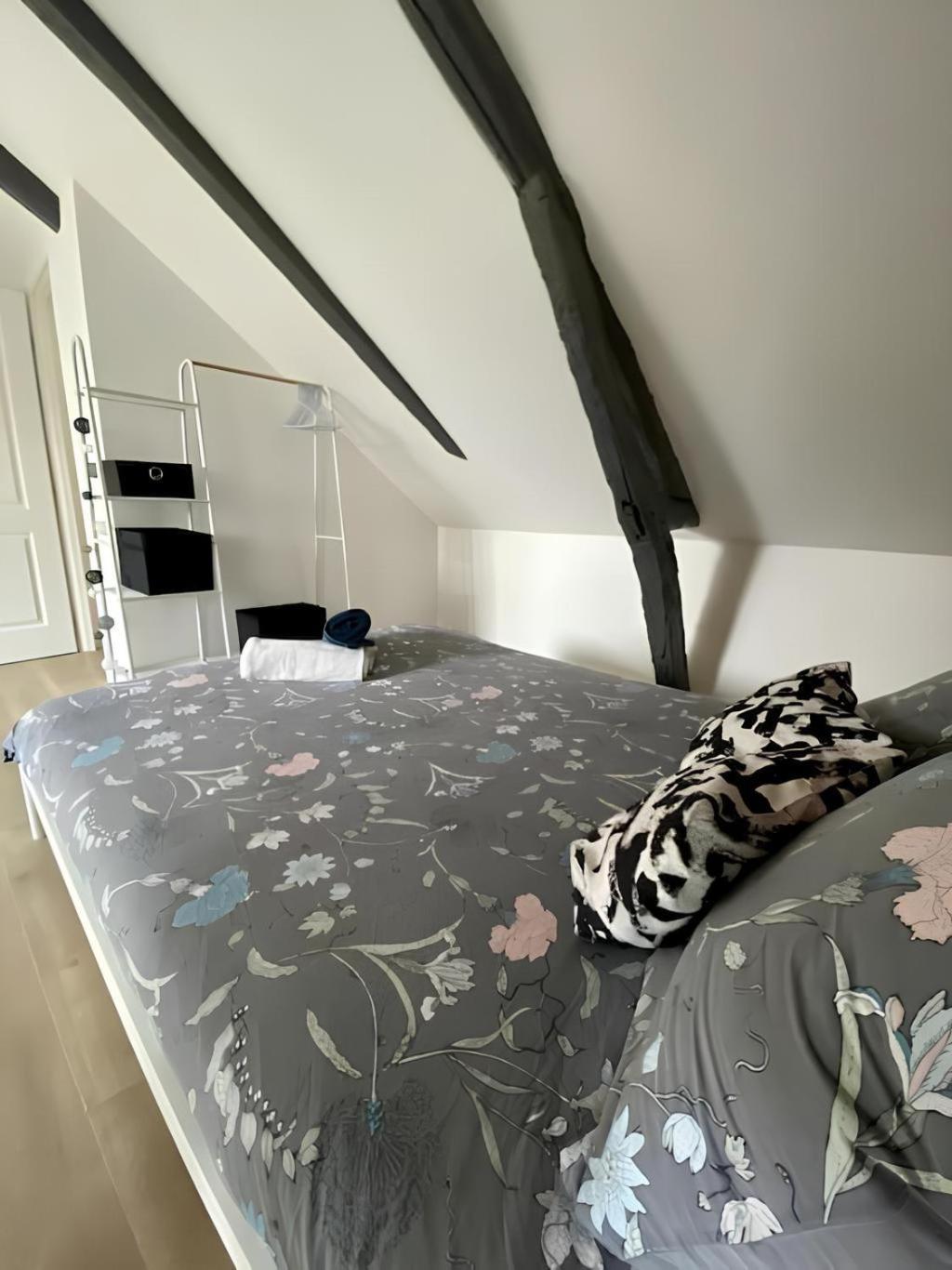 Maison Familiale Avec Exterieur Menage Et Linges Inclus Rouen Eksteriør billede